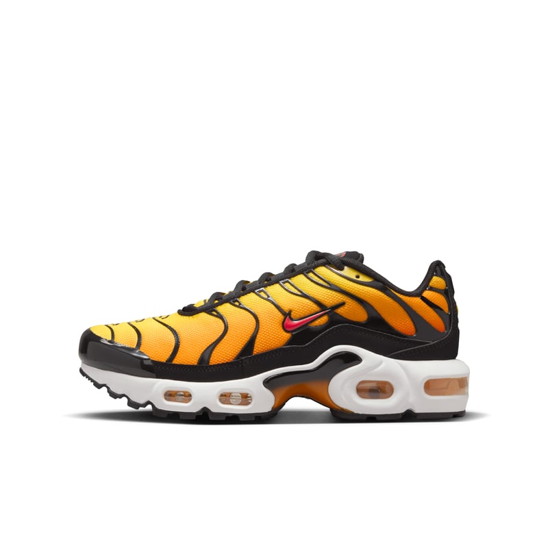 Nike Air Max Plus CD0609-029 01