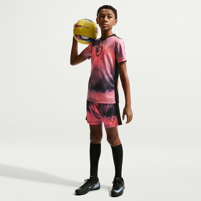 Nike Academy+ Dri-FIT IR1312-804 01