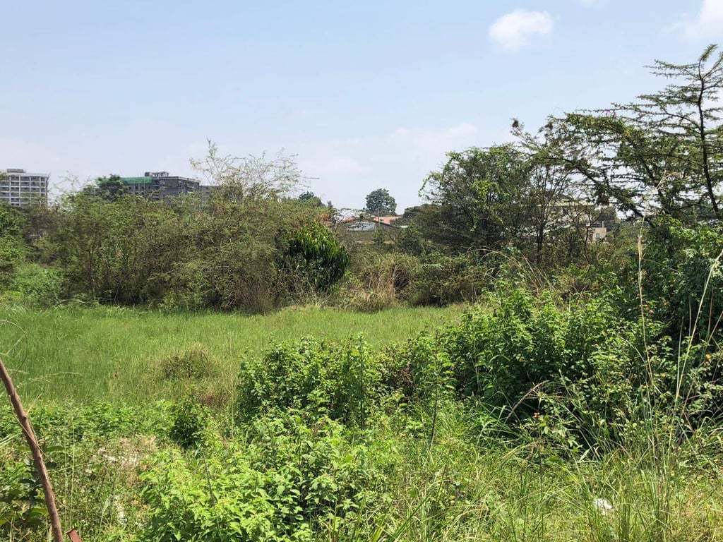 3 Acres for Sale in Ruiru Town