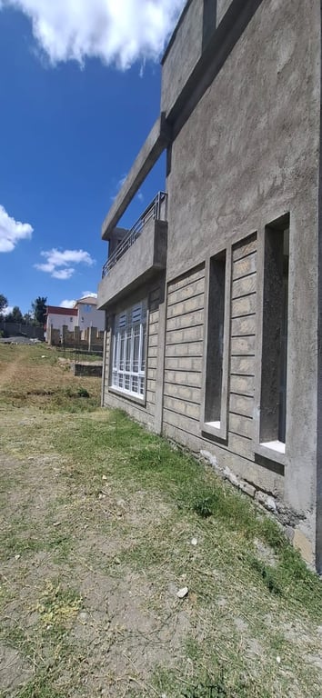 Image 14