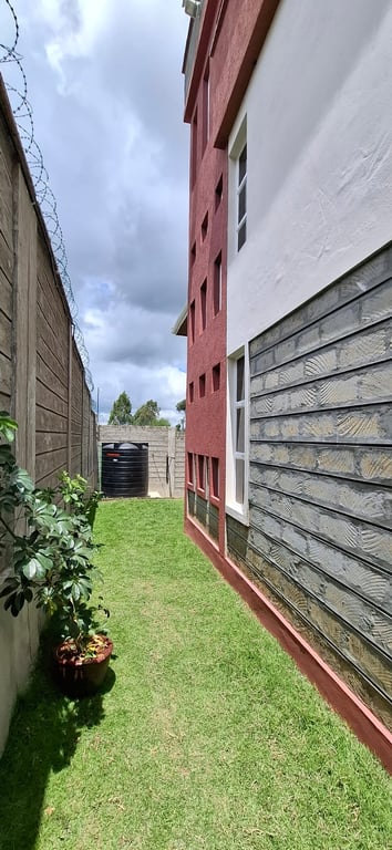 Image 15