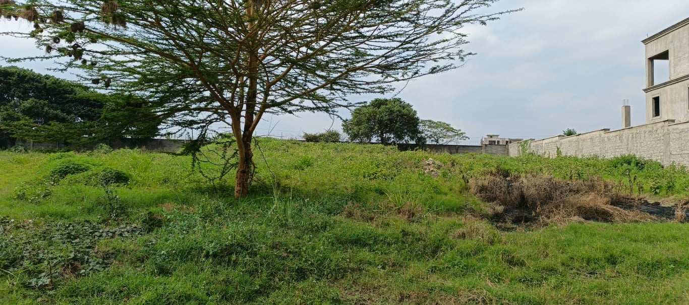 Plot for Sale in Runda