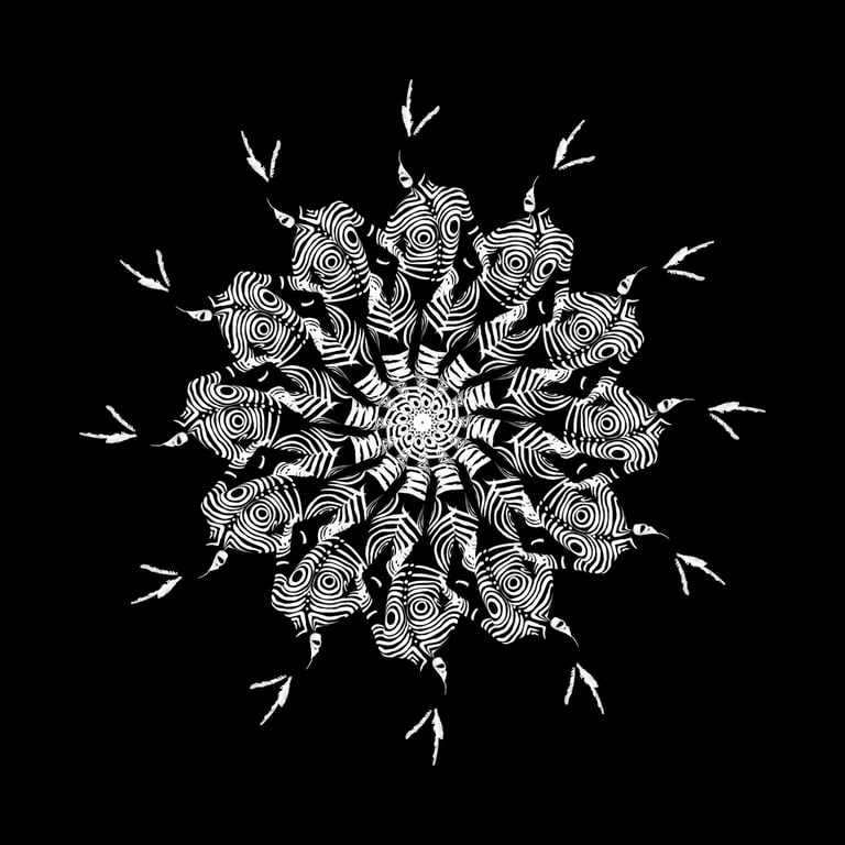 Mohave S12 by Fede Bianchi