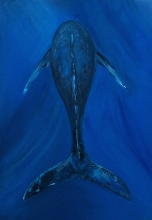 Blue Whale  by Alina O'Dwyer