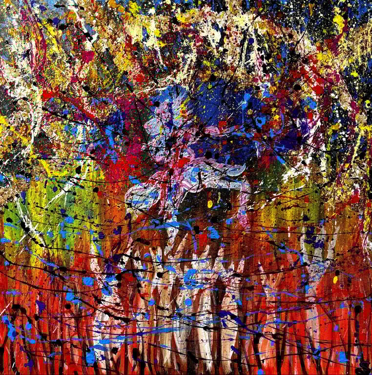 SheerLeader by Hansa Sethi