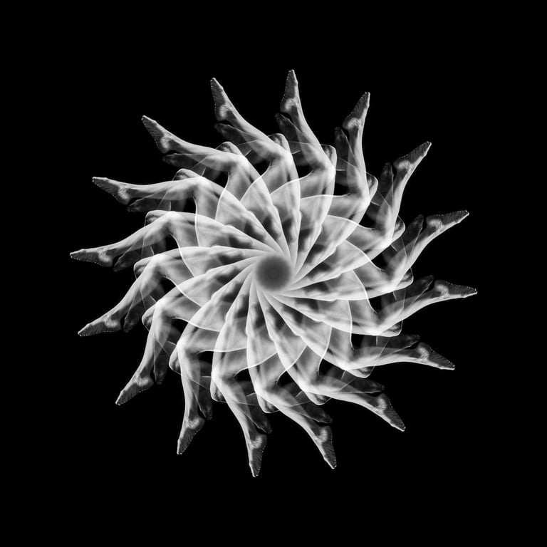 Body Mandala FLLL16 by Fede Bianchi