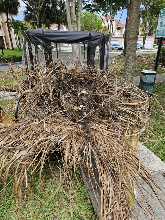Drainage System Cleaning — included service item 2
