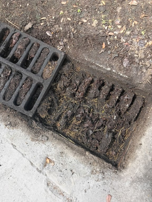 Drainage System Cleaning