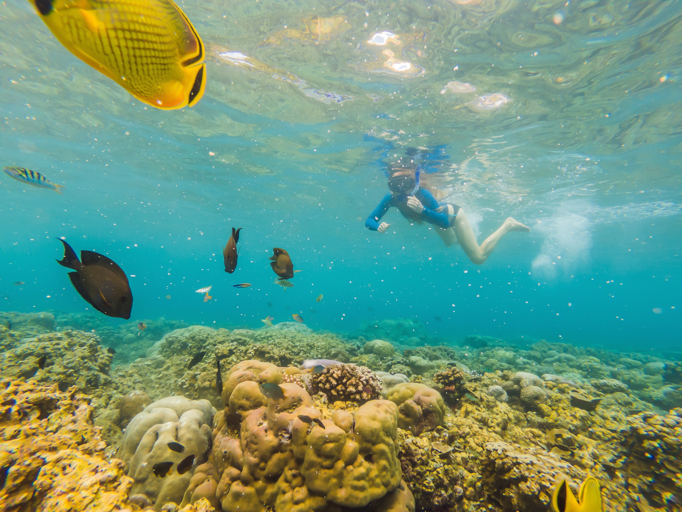 Tentu, mari kita susun artikel tentang rekomendasi tempat snorkeling terbaik di Asia Tenggara.