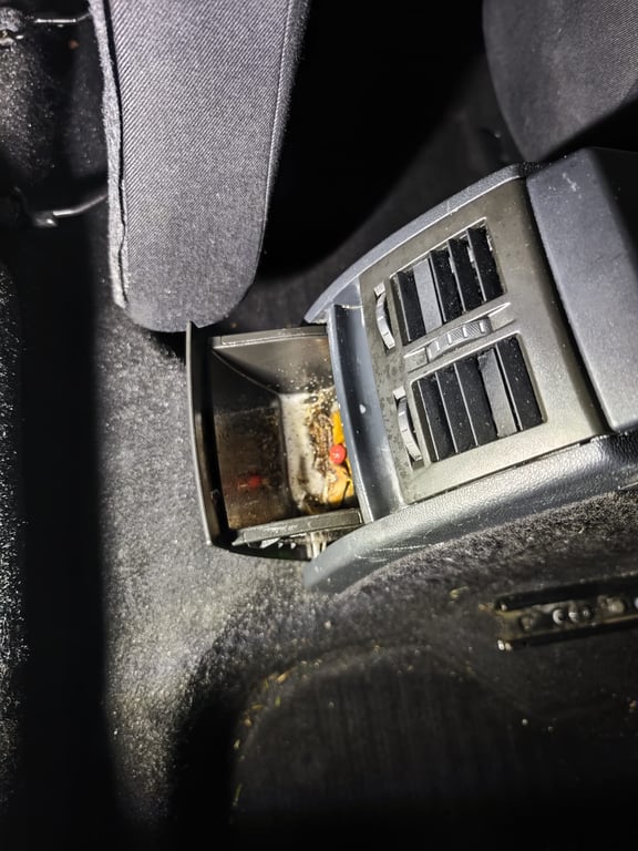 Before paint correction