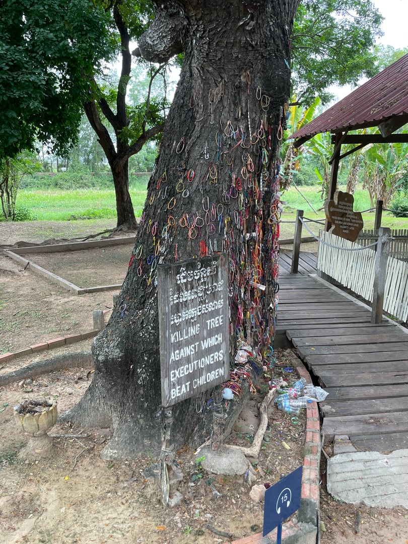 Killing Fields tree