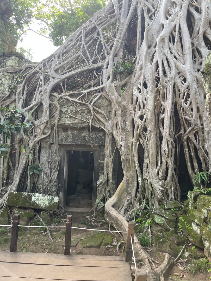 Ta Prohm doorway