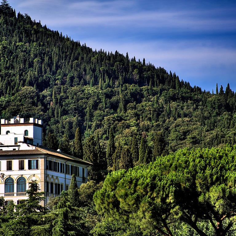 Il Salviatino Firenze