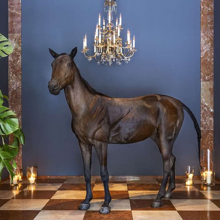 Grand Ferdinand Vienna