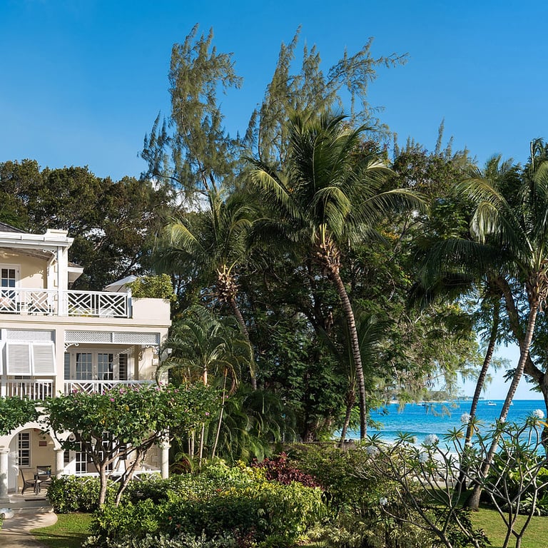 Coral Reef Club