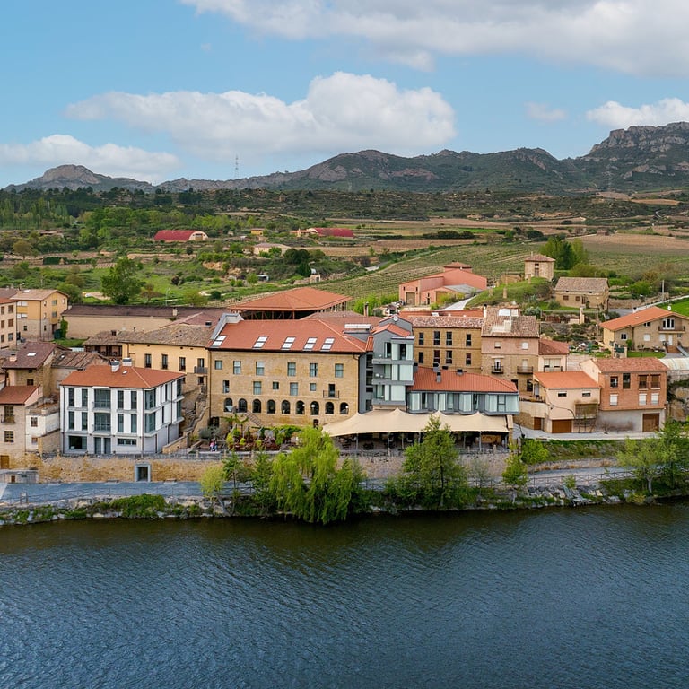 Palacio Tondon, La Rioja Brinas