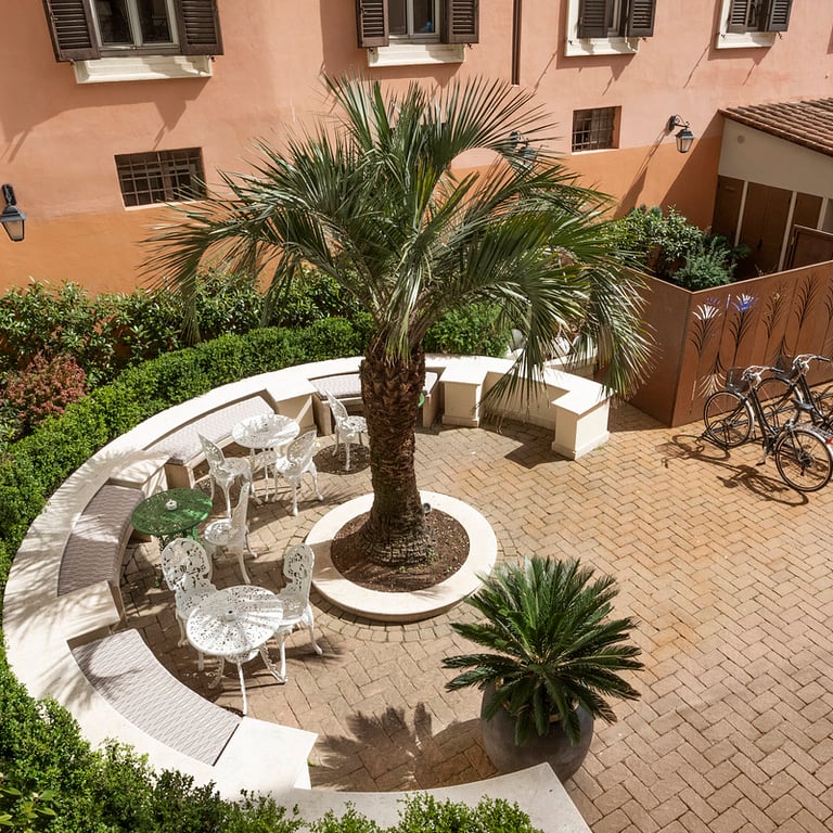 Palm Suite