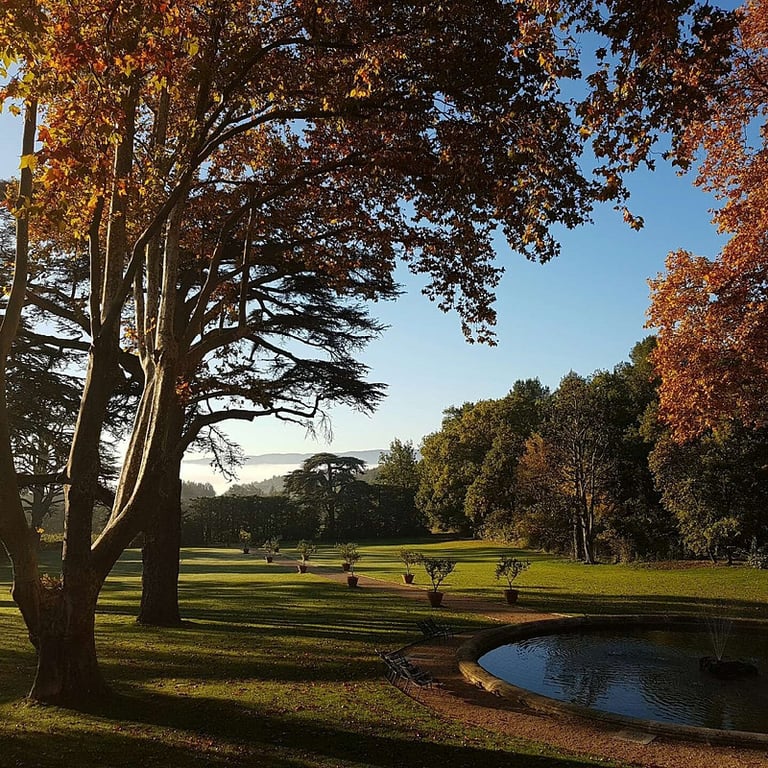 Domaine de Fontenille
