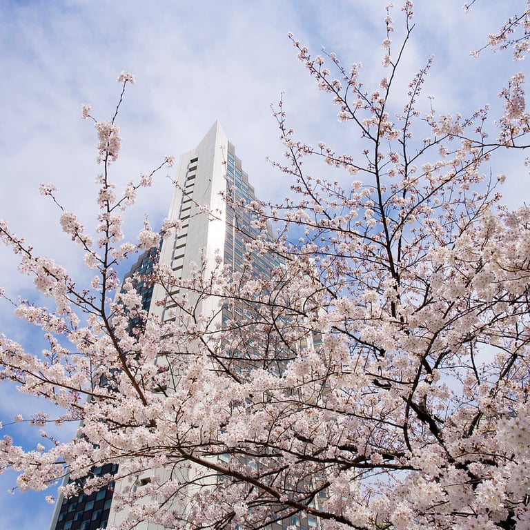 ANA InterContinental Tokyo