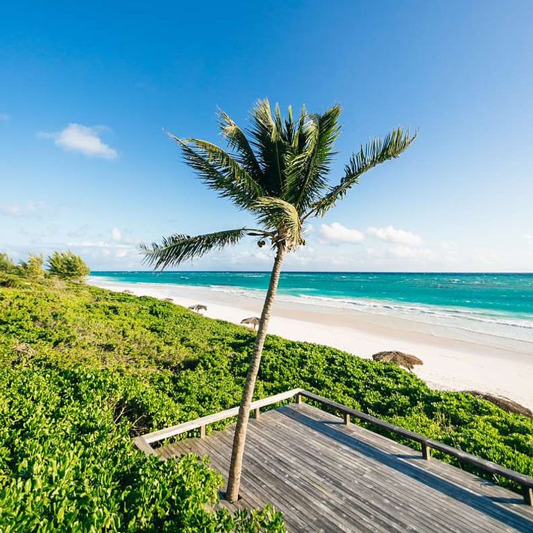 The Pink Sands, Harbour Island Bahamas