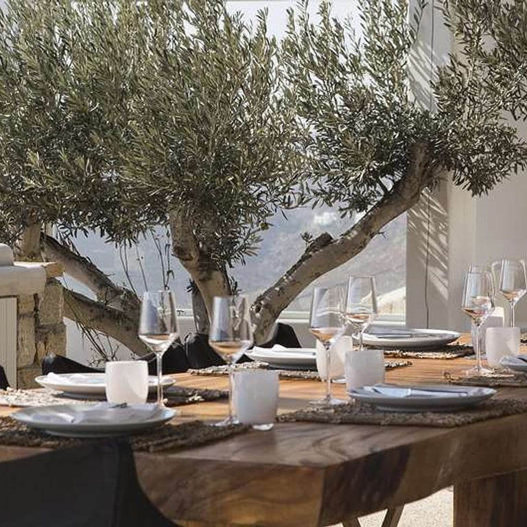 Myconian Villa Collection