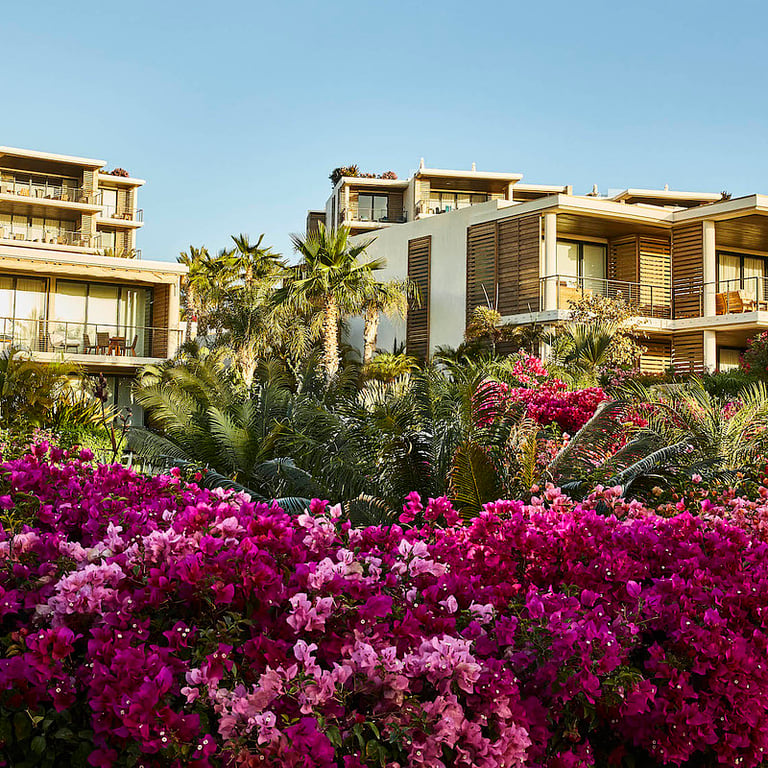 Chileno Bay Resorts & Residences, Auberge Resorts Collection
