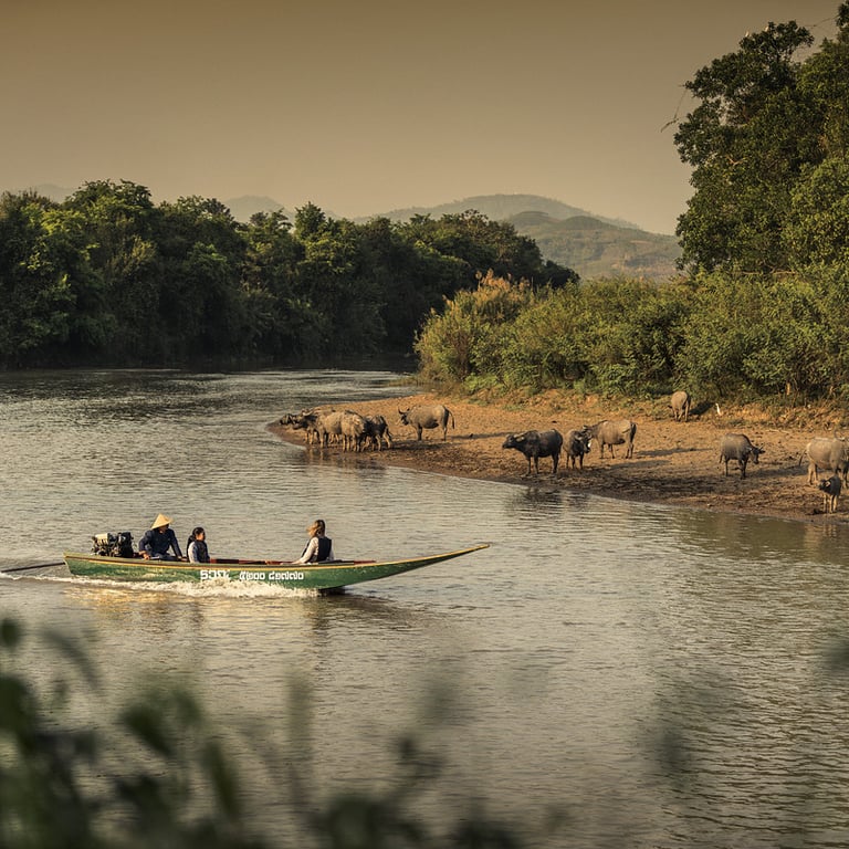 Four Seasons Tented Camp Golden Triangle, Thailand