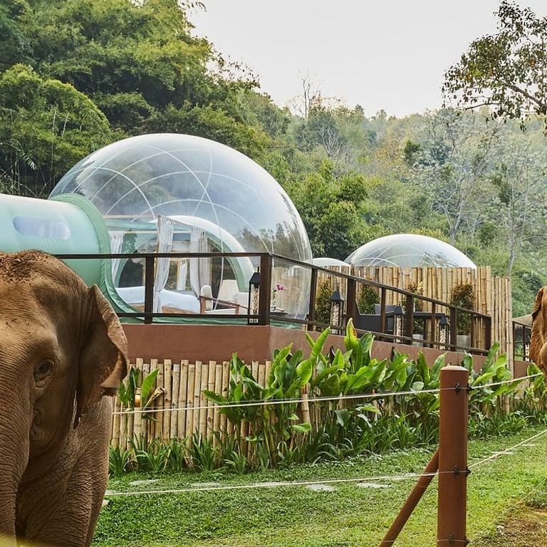 Anantara Golden Triangle Elephant Camp & Resort