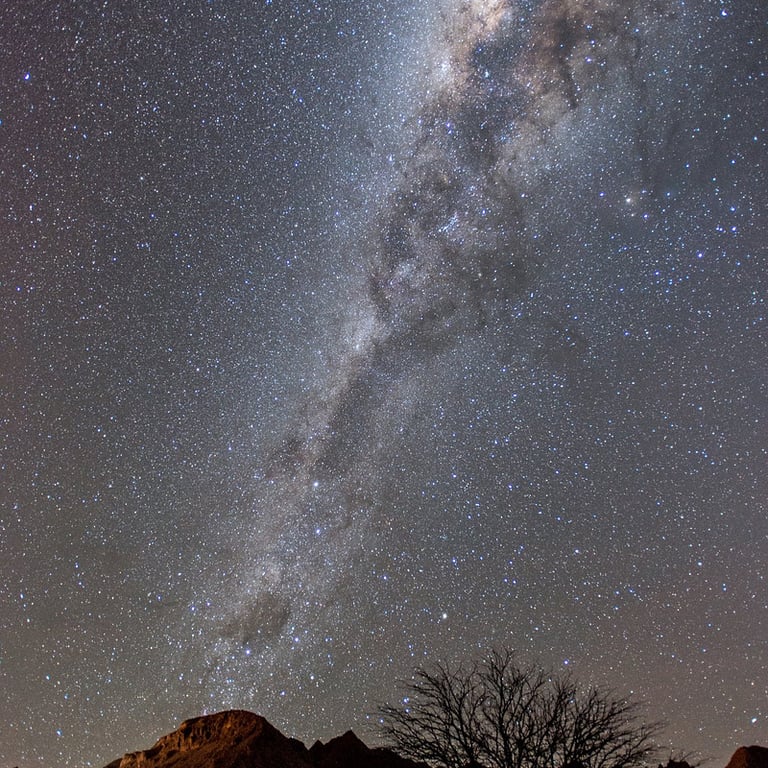 Nayara Alto Atacama