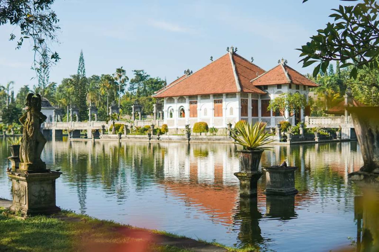 Alila Manggis