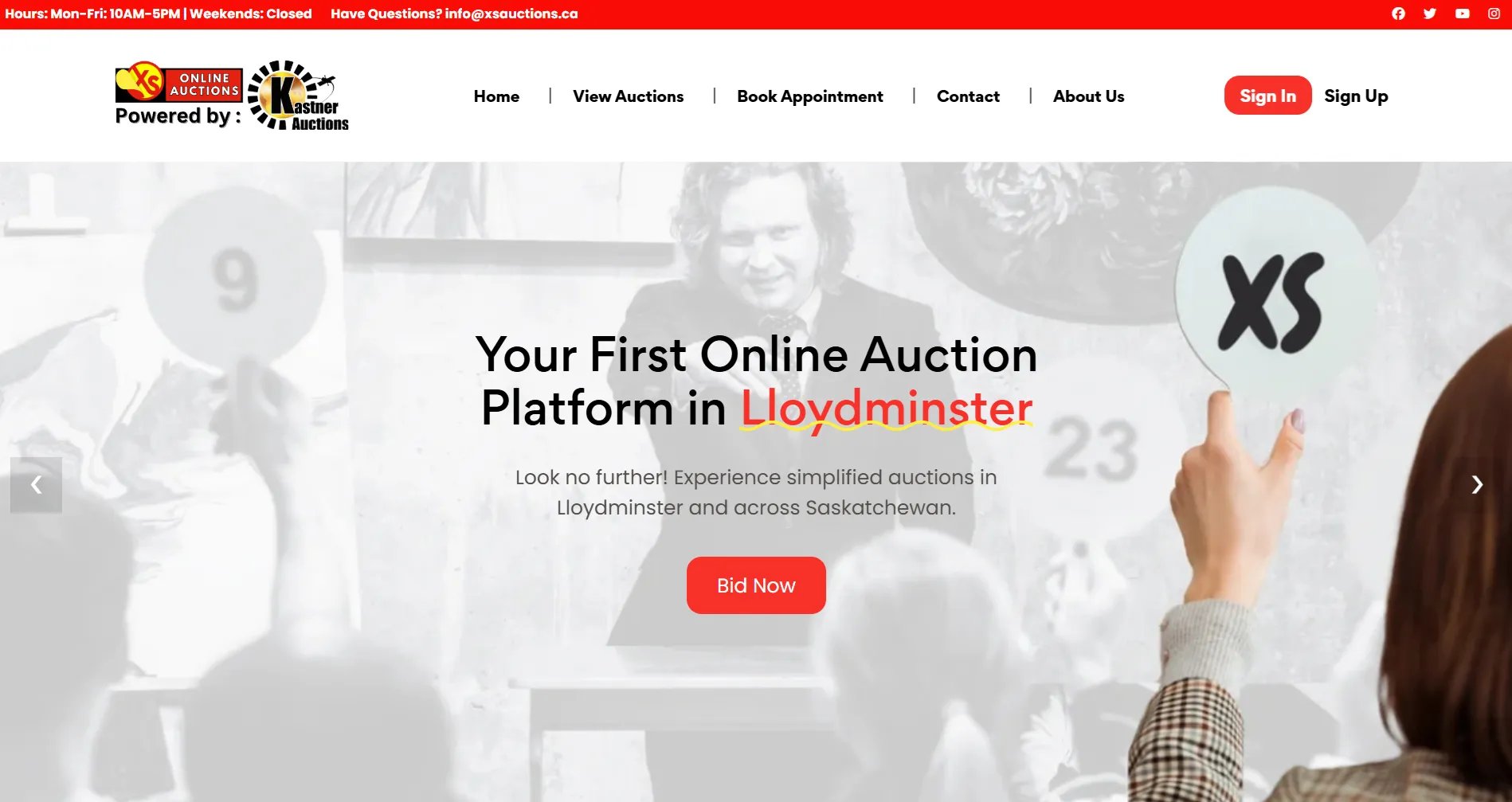 XS Online Auctions project preview