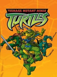 PS2 Teenage Mutant Ninja Turtles cover