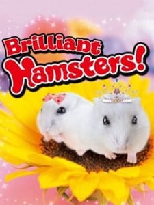 Nintendo 3DS Brilliant Hamsters! cover