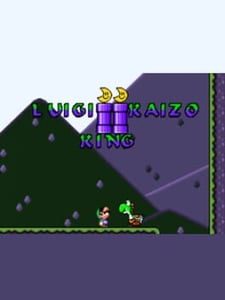 Super Nintendo Luigi Kaizo King cover