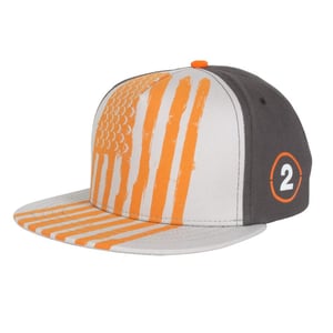 Snapback Cap: Tom Clancy's The Division 2 - Flag, Grey/Biege omslag