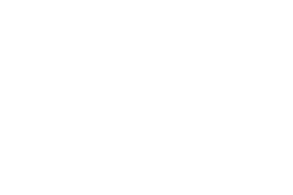 lightering llc