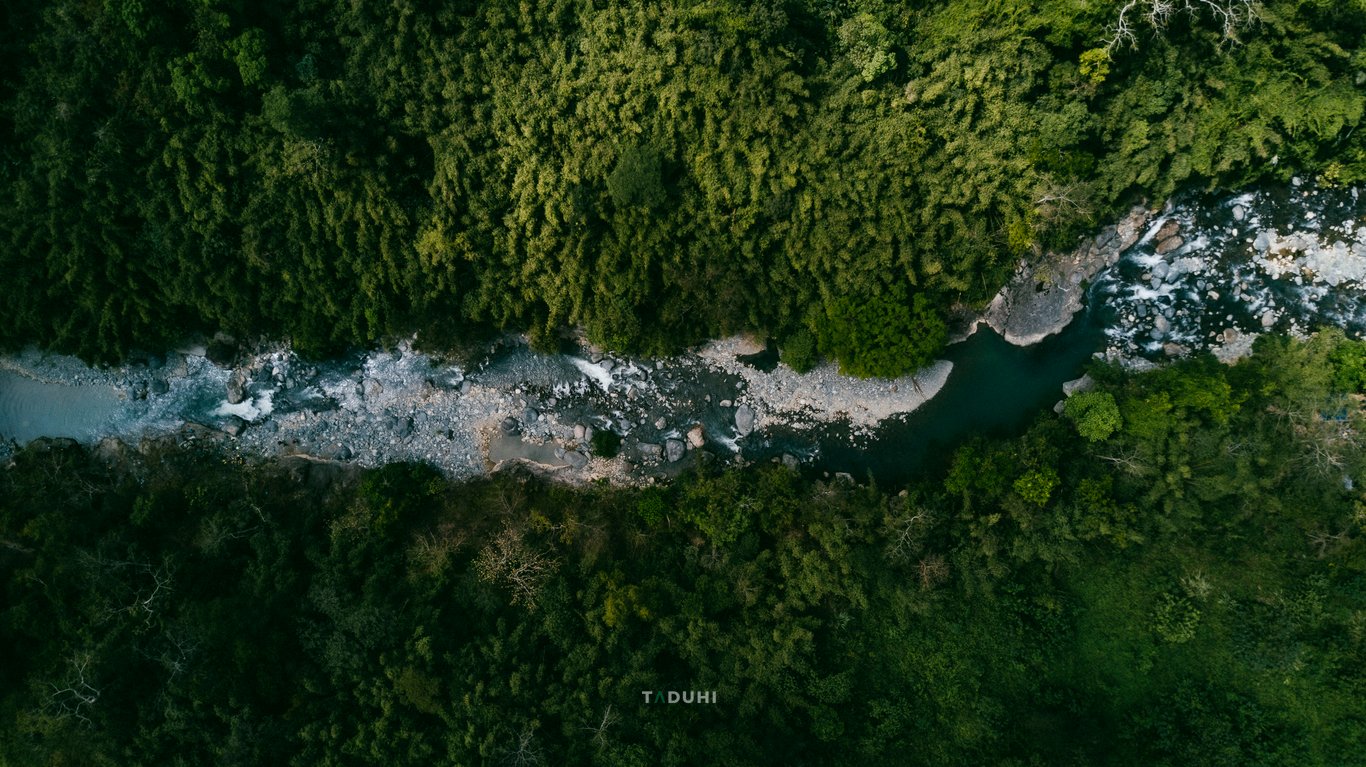 Test Preset Sau