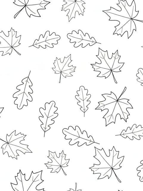Hojas de otoño de arce y roble en una lámina para colorear gratis