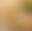 blur placeholder