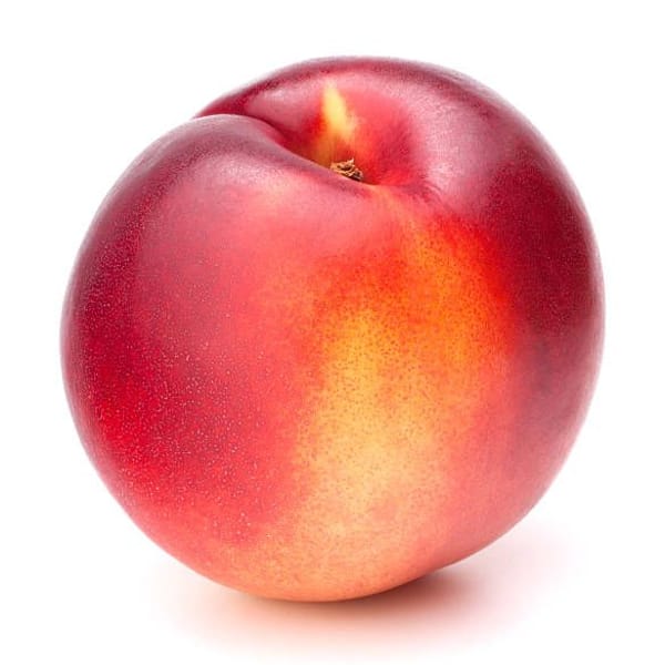 Nectarine
