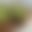 blur placeholder