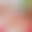 blur placeholder