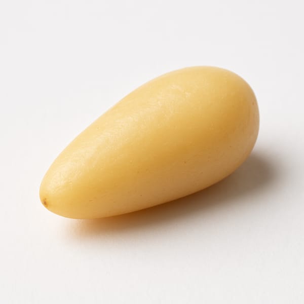 Pignon de pin