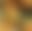 blur placeholder