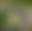 blur placeholder