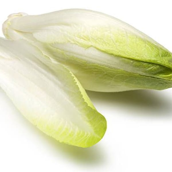 Endive