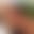 blur placeholder