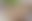 blur placeholder