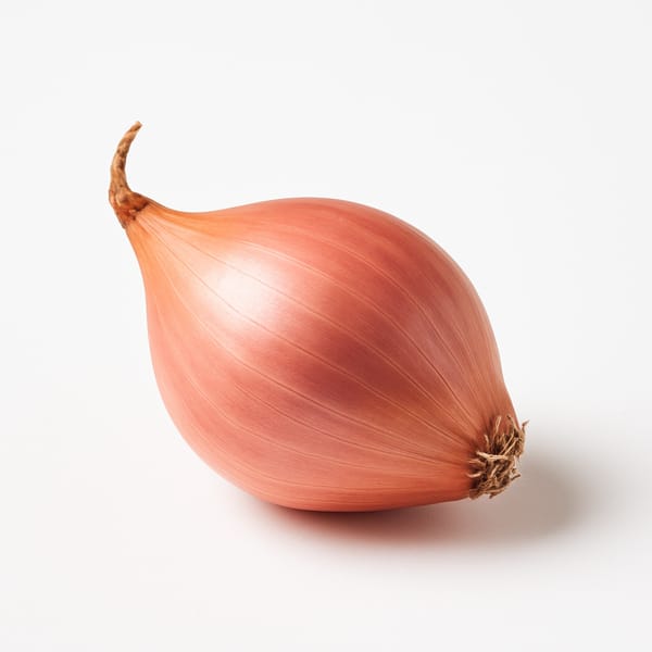 Échalote