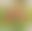 blur placeholder